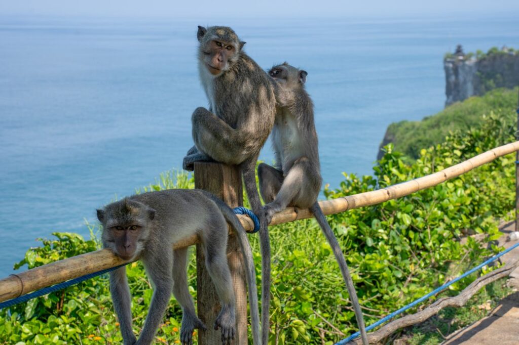 Uluwatu Bali